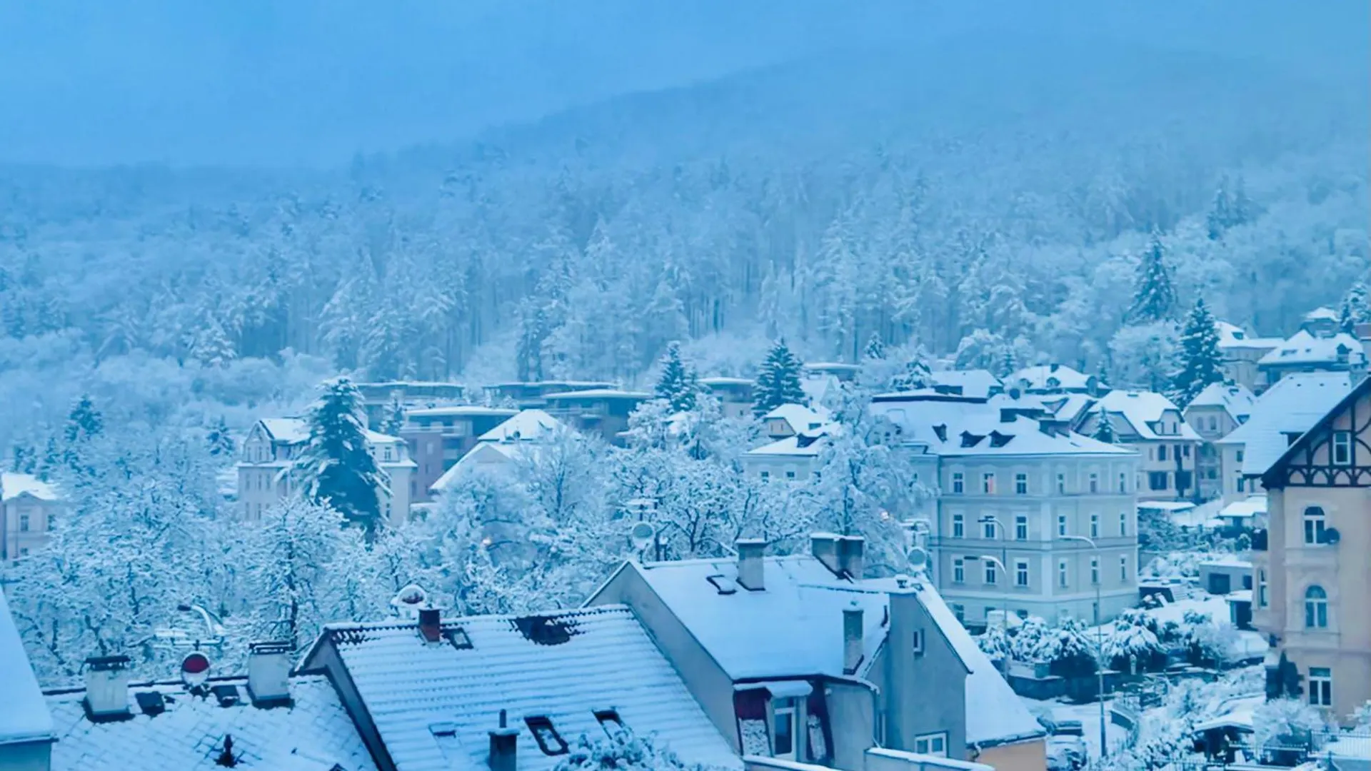 Apartmán Artflora Kv Premium Karlovy Vary